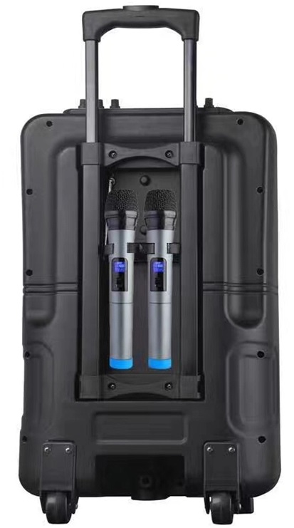 mặt sau của loa kéo